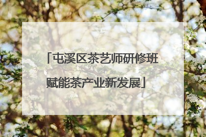 屯溪区茶艺师研修班赋能茶产业新发展