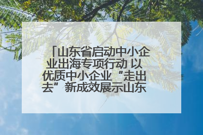 山东省启动中小企业出海专项行动 以优质中小企业“走出去”新成效展示山东产业发展新形象