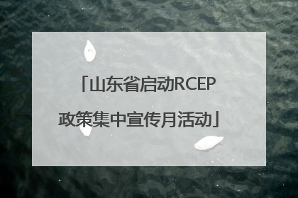 山东省启动RCEP政策集中宣传月活动