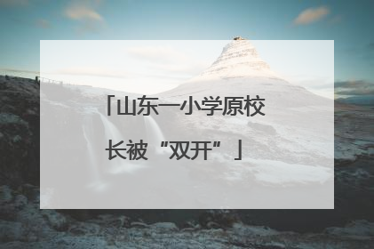 山东一小学原校长被“双开”