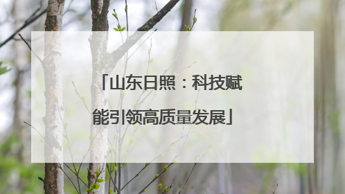 山东日照：科技赋能引领高质量发展