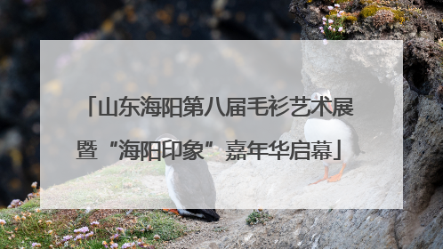 山东海阳第八届毛衫艺术展暨“海阳印象”嘉年华启幕