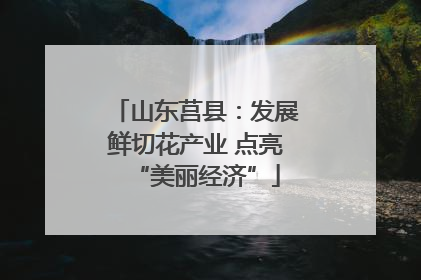山东莒县：发展鲜切花产业 点亮“美丽经济”