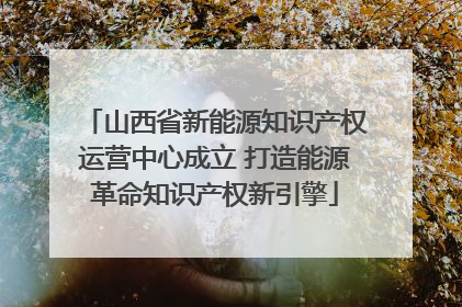 山西省新能源知识产权运营中心成立 打造能源革命知识产权新引擎