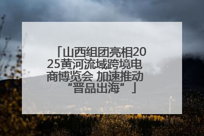 山西组团亮相2025黄河流域跨境电商博览会 加速推动“晋品出海”