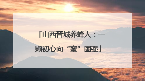 山西晋城养蜂人：一颗初心向“蜜”图强