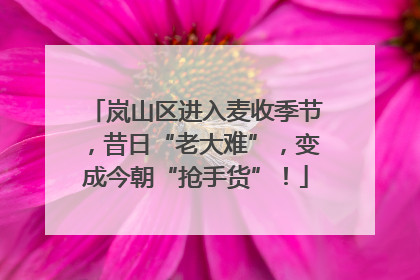 岚山区进入麦收季节，昔日“老大难”，变成今朝“抢手货”！