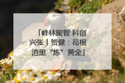 峰林聚智 科创兴张丨贺健：葛根渣里“炼”黄金