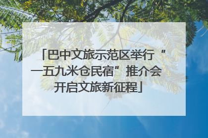 巴中文旅示范区举行“一五九米仓民宿”推介会 开启文旅新征程