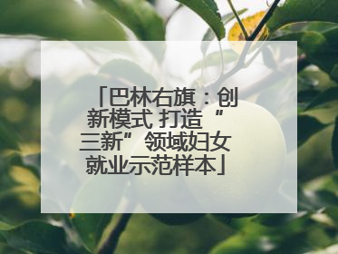 巴林右旗：创新模式 打造“三新”领域妇女就业示范样本