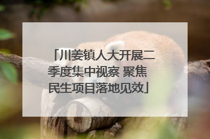 川姜镇人大开展二季度集中视察 聚焦民生项目落地见效