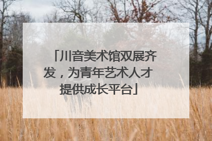 川音美术馆双展齐发，为青年艺术人才提供成长平台