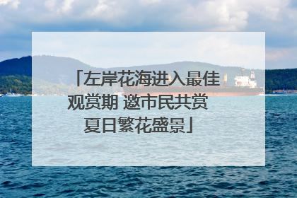 左岸花海进入最佳观赏期 邀市民共赏夏日繁花盛景