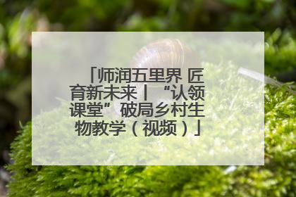 师润五里界 匠育新未来丨“认领课堂”破局乡村生物教学（视频）