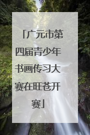 广元市第四届青少年书画传习大赛在旺苍开赛
