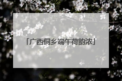 广西侗乡端午荷韵浓