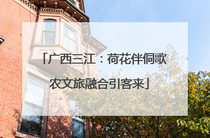 广西三江：荷花伴侗歌 农文旅融合引客来