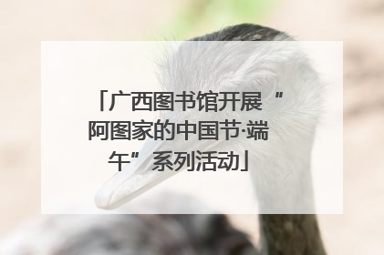 广西图书馆开展“阿图家的中国节·端午”系列活动