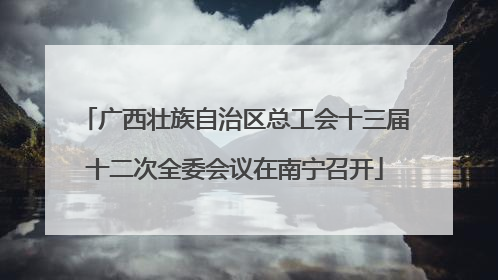 广西壮族自治区总工会十三届十二次全委会议在南宁召开