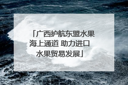 广西护航东盟水果海上通道 助力进口水果贸易发展