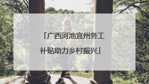 广西河池宜州务工补贴助力乡村振兴