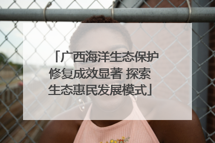 广西海洋生态保护修复成效显著 探索生态惠民发展模式