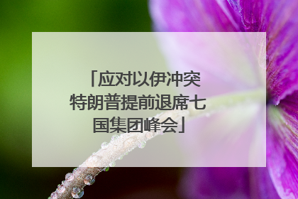应对以伊冲突 特朗普提前退席七国集团峰会