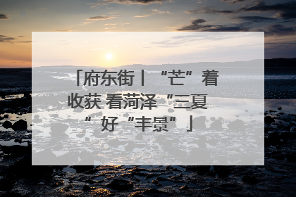 府东街丨“芒”着收获 看菏泽“三夏”好“丰景”