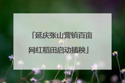 延庆张山营镇百亩网红稻田启动插秧