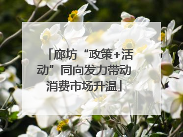 廊坊“政策+活动”同向发力带动消费市场升温