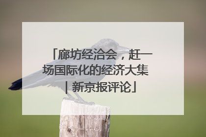 廊坊经洽会，赶一场国际化的经济大集｜新京报评论