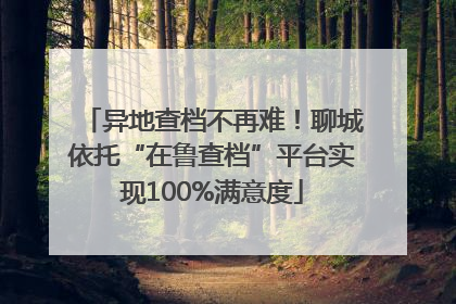 异地查档不再难！聊城依托“在鲁查档”平台实现100%满意度