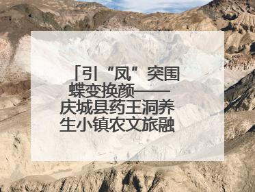 引“凤”突围 蝶变换颜——庆城县药王洞养生小镇农文旅融合发展纪实
