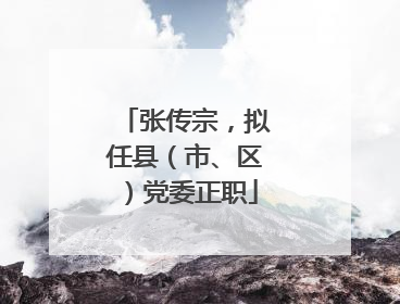 张传宗，拟任县（市、区）党委正职