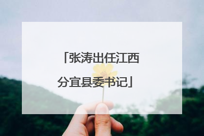 张涛出任江西分宜县委书记