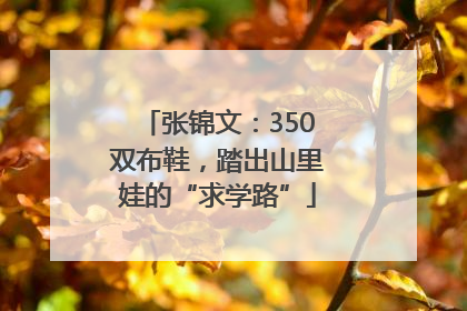 张锦文：350双布鞋，踏出山里娃的“求学路”