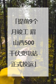 提前9个月竣工 眉山西500千伏变电站正式投运