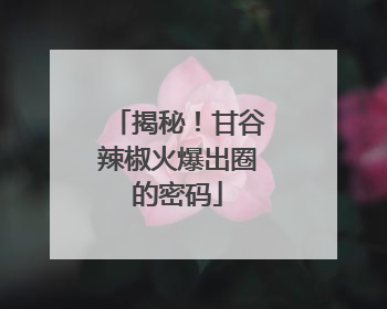 揭秘！甘谷辣椒火爆出圈的密码