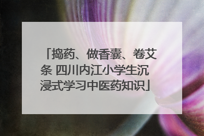 捣药、做香囊、卷艾条 四川内江小学生沉浸式学习中医药知识