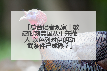 总台记者观察丨敏感时刻美国从中东撤人 以色列对伊朗动武条件已成熟？