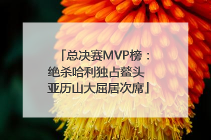 总决赛MVP榜：绝杀哈利独占鳌头 亚历山大屈居次席