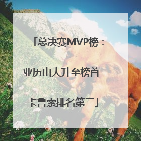 总决赛MVP榜：亚历山大升至榜首 卡鲁索排名第三