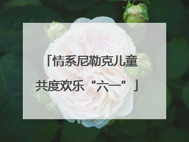 情系尼勒克儿童 共度欢乐“六一”