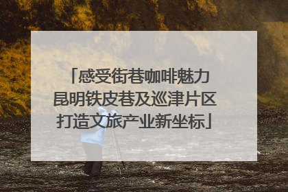 感受街巷咖啡魅力 昆明铁皮巷及巡津片区打造文旅产业新坐标