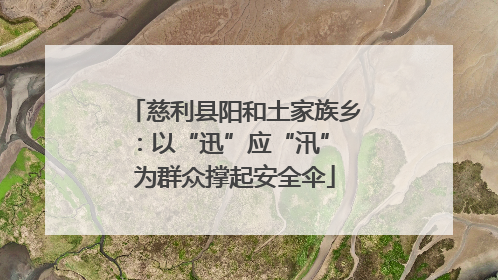 慈利县阳和土家族乡：以“迅”应“汛” 为群众撑起安全伞