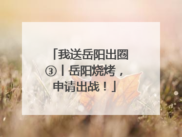 我送岳阳出圈③丨岳阳烧烤，申请出战！