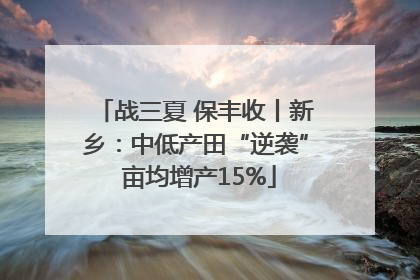 战三夏 保丰收丨新乡：中低产田“逆袭” 亩均增产15%