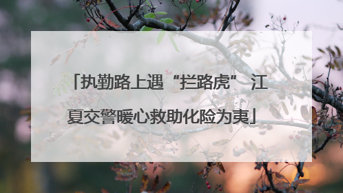 执勤路上遇“拦路虎” 江夏交警暖心救助化险为夷