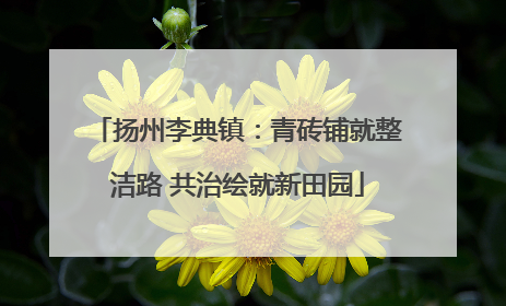 扬州李典镇：青砖铺就整洁路 共治绘就新田园