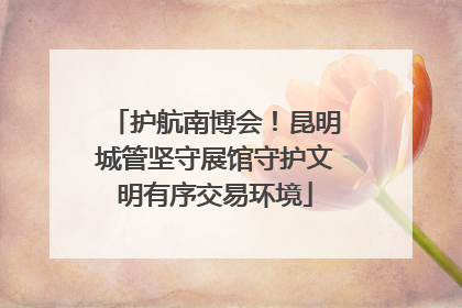 护航南博会！昆明城管坚守展馆守护文明有序交易环境